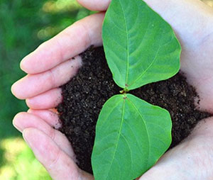 Environmental Protection